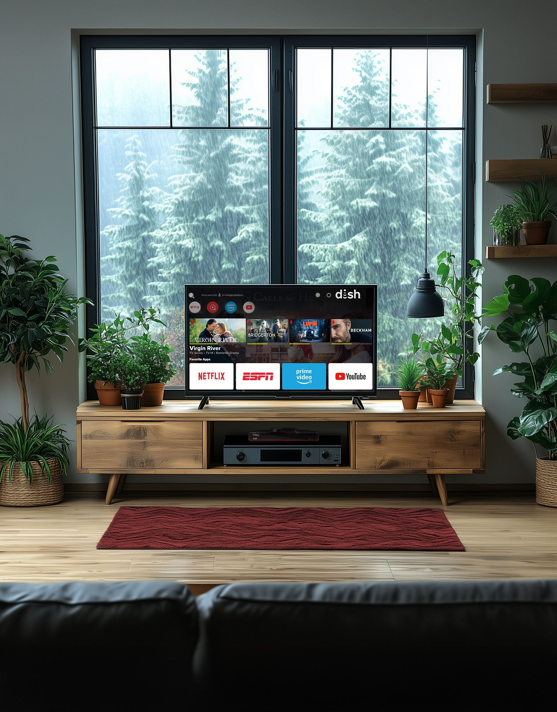 Hopper Plus TV Interface